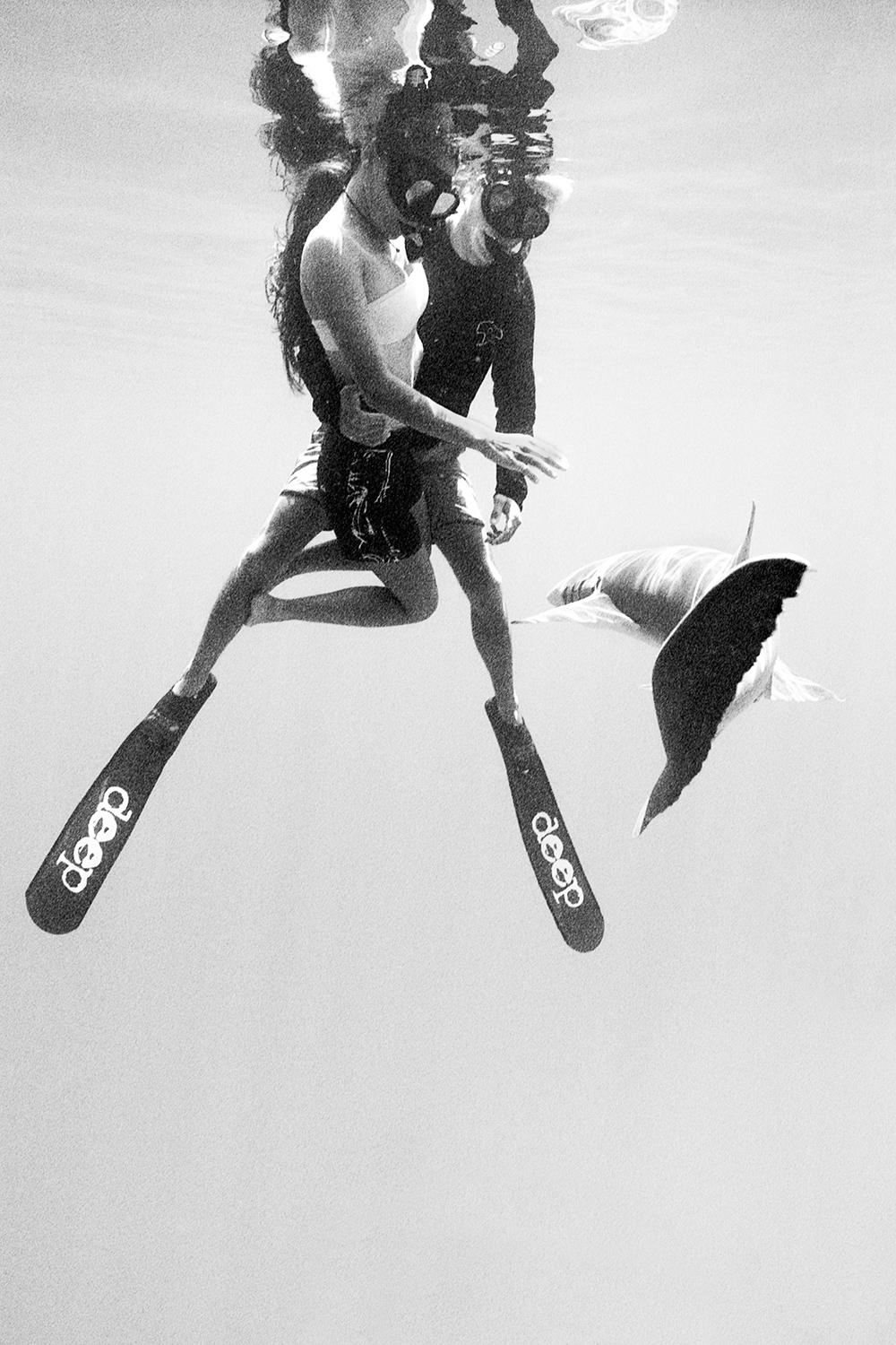 A Lesson in Underwater Film Photography, With Sharks Field Mag