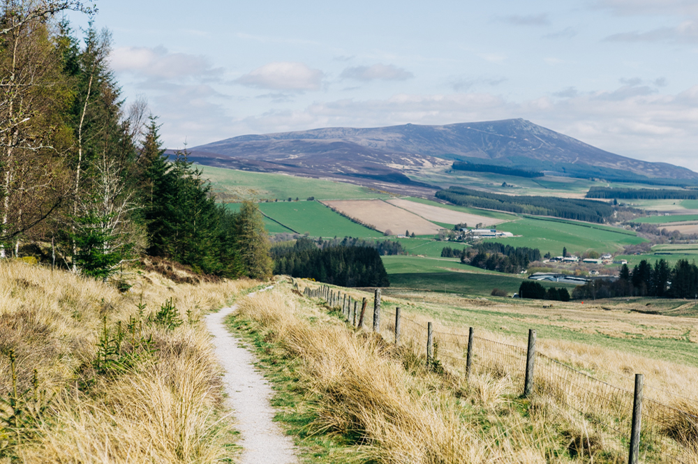 How to Experience Scotland's Right to Roam in Cairngorms National Park