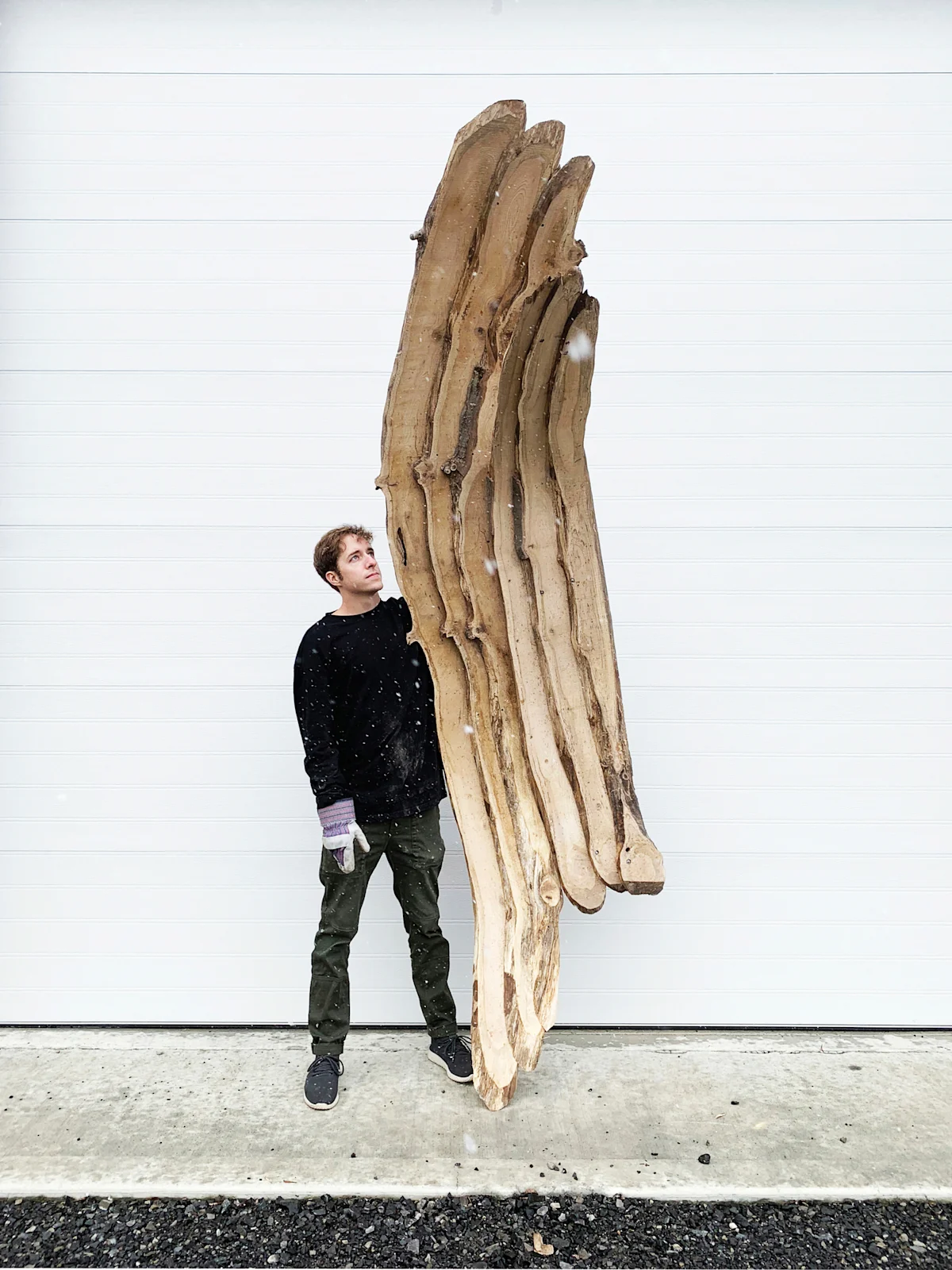 HANNAH-Ashen-Cabin-Ash-Tree-Panels