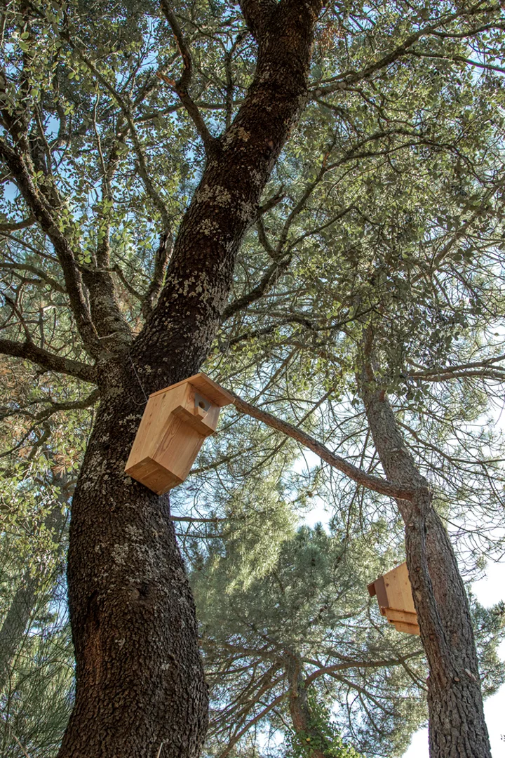 (Synanthro)Love-Shack-Spain-Husos-Architects-8