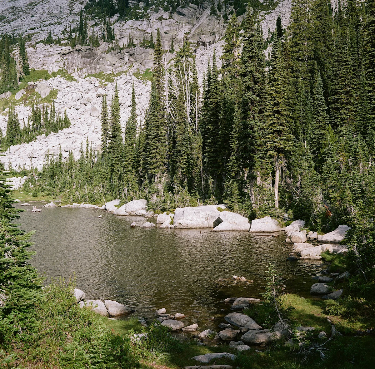 Elias-Carlson-Beehive-Lakes-ID-Field-Mag-2