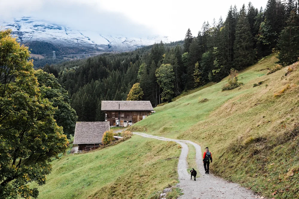 A Hiker's Guide to Grindelwald, Switzerland: Alpine Trails & Cheese Lockers