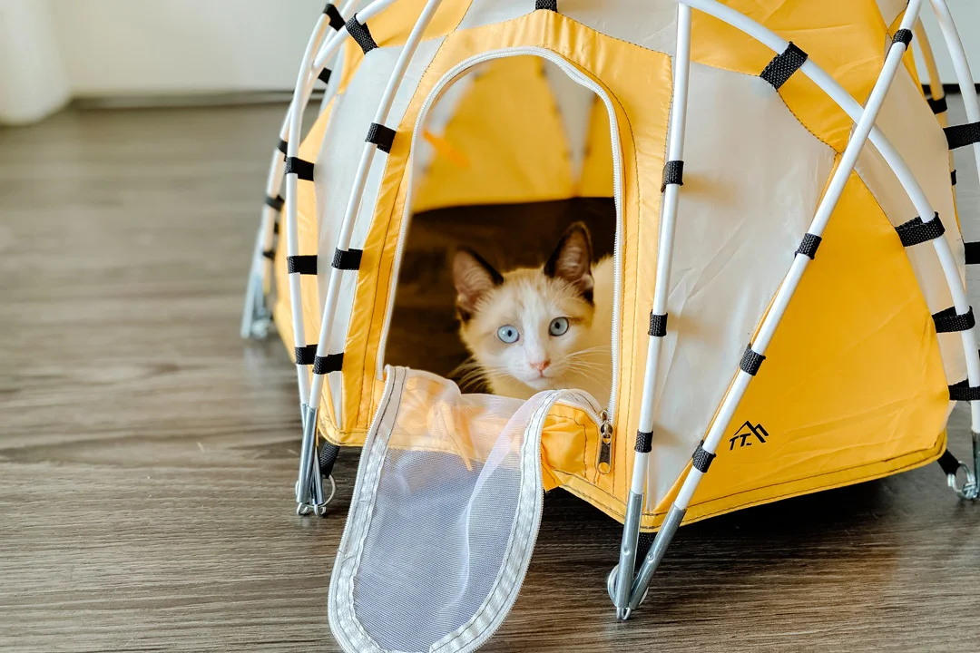 Tiny-Tents-Basecamp-Dome-Tent-cat