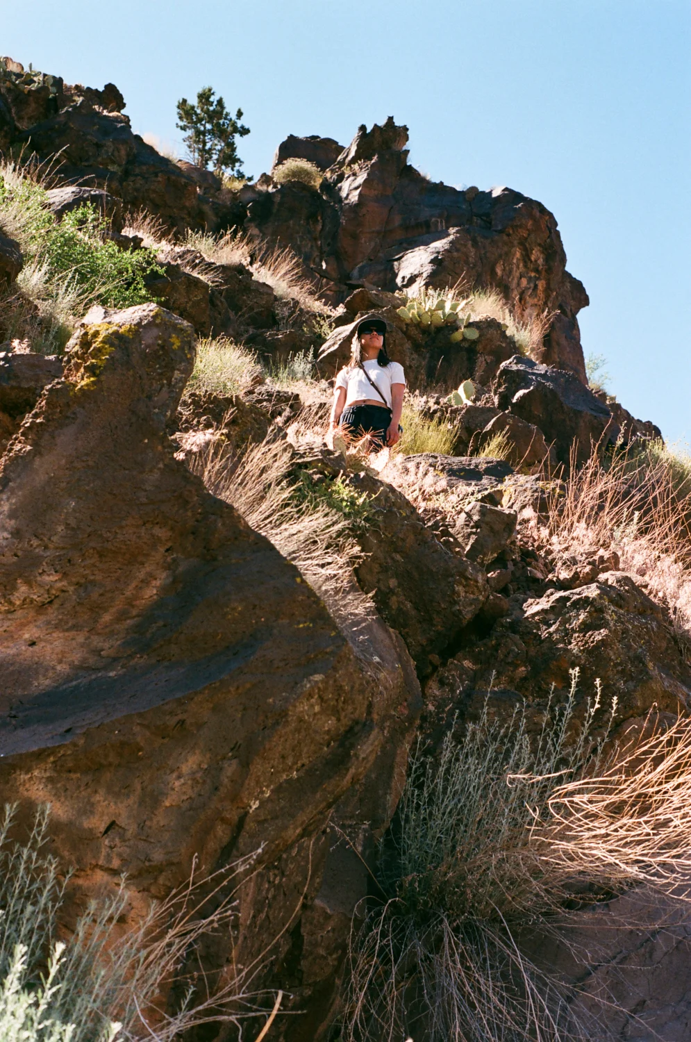 linnea-bullion-zion-road-trip-22