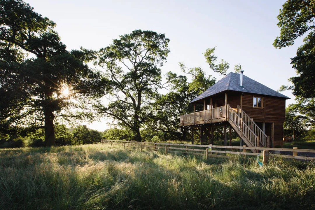 netherby-treehouse-longtown-united-kingdom-lake-district