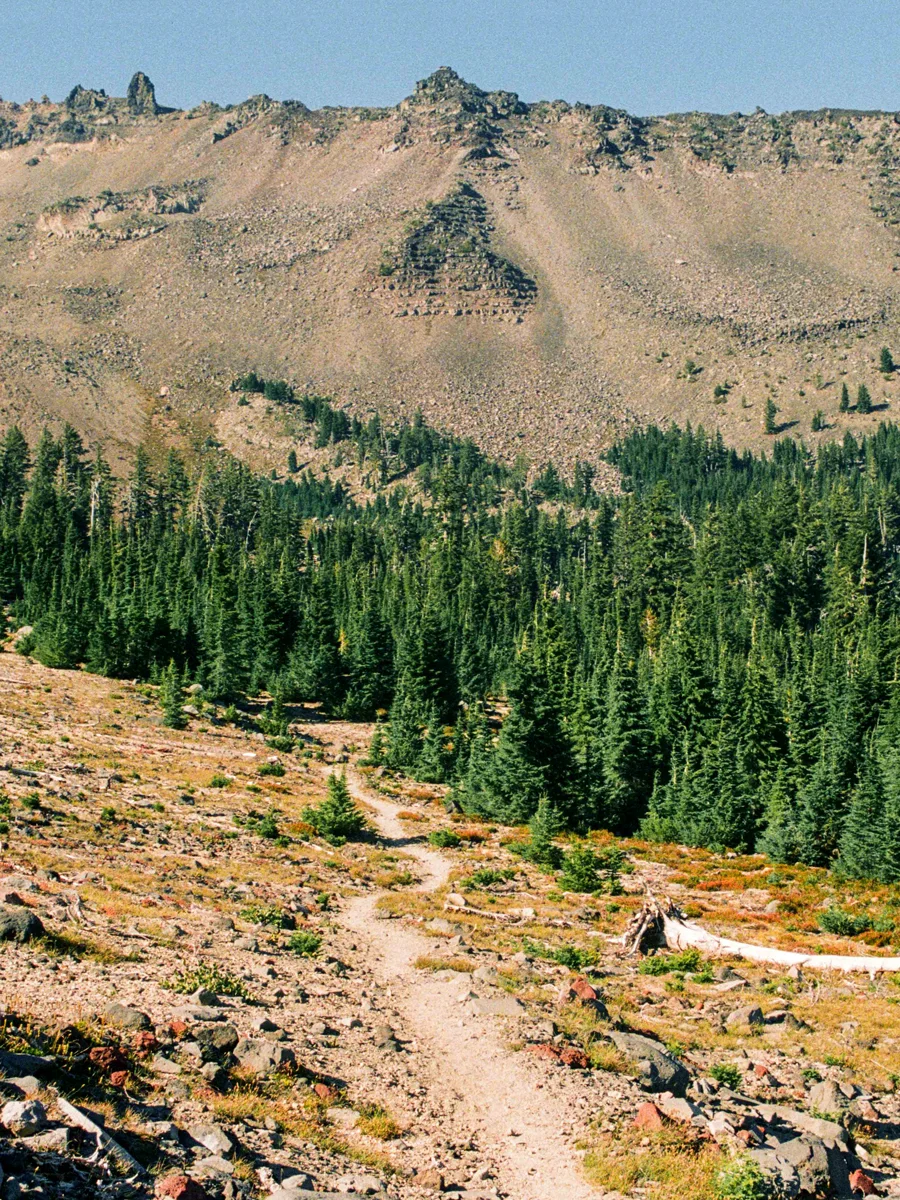 bailey-pct-oregon-section-hike-9
