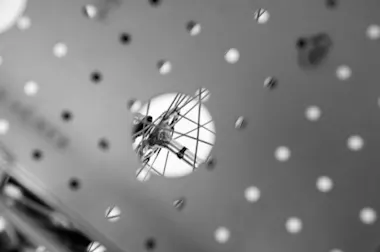 photography by Max Lewis
