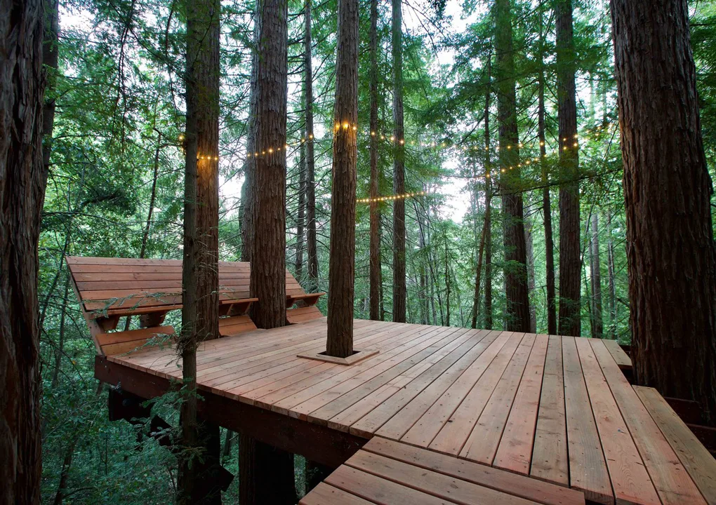 redwood-cabin-elevated-spaces-waldman-fiffer-cabin-deck