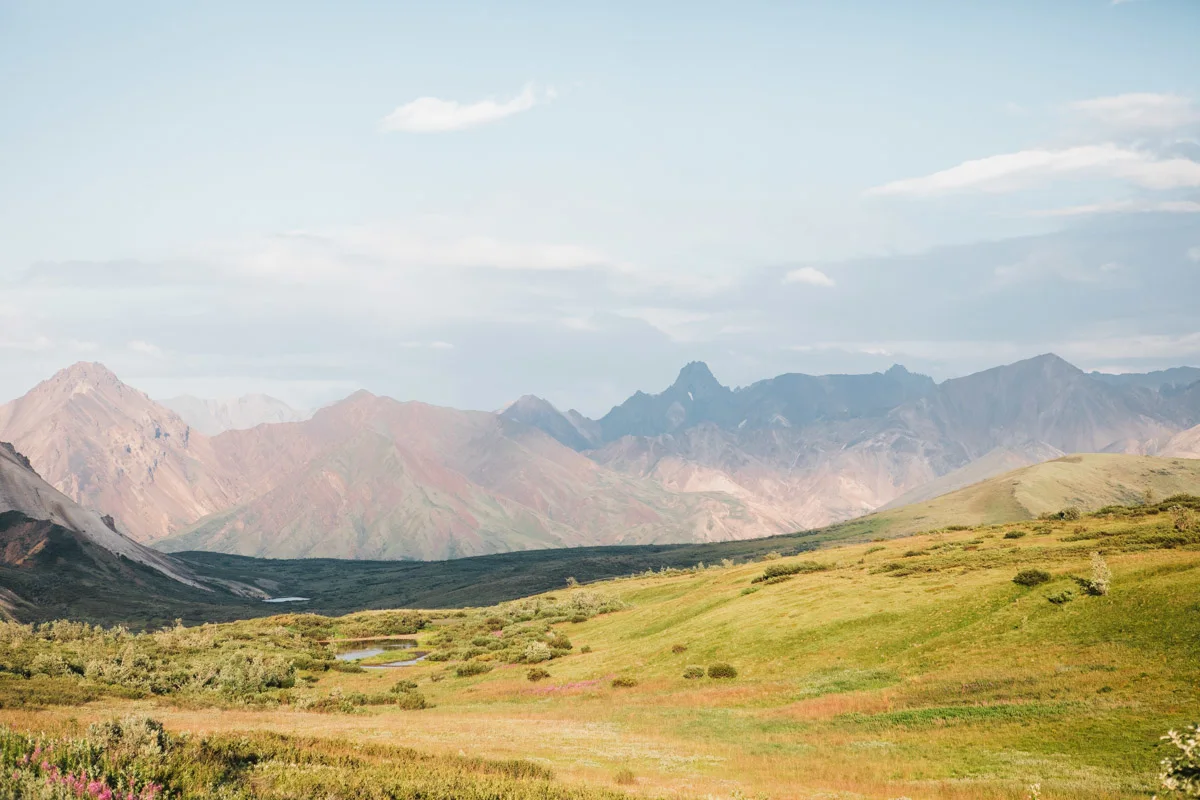 karthika gupta denali camping east fork views