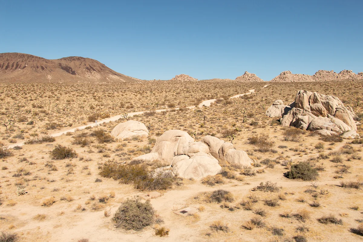 Paul-Martinez-Joshua-Tree-NPS