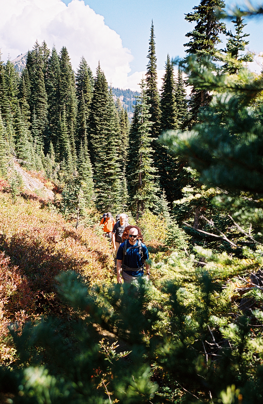 Best Backpacking Near Mount Rainier National Park Best William O
