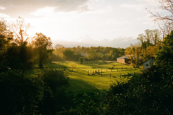 Q&A: Photographer Matt Steindl on Art, Zines, the Quiet Beauty of Rural PA