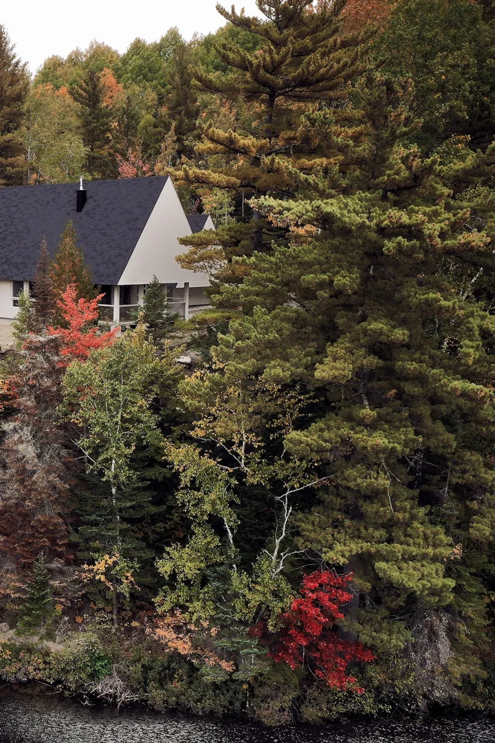 eagles-nest-bunk-house-cabin-canada-mainstudio-overlook