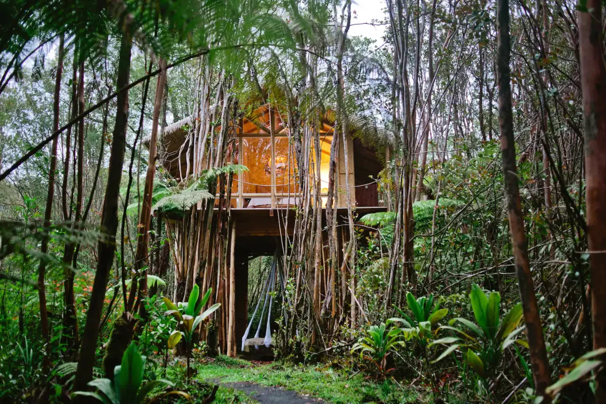 tropical-glass-treehouse-best-glass-cabins