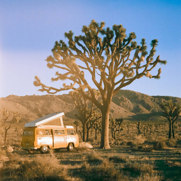 The Best VW Camper Van Rentals Across the USA