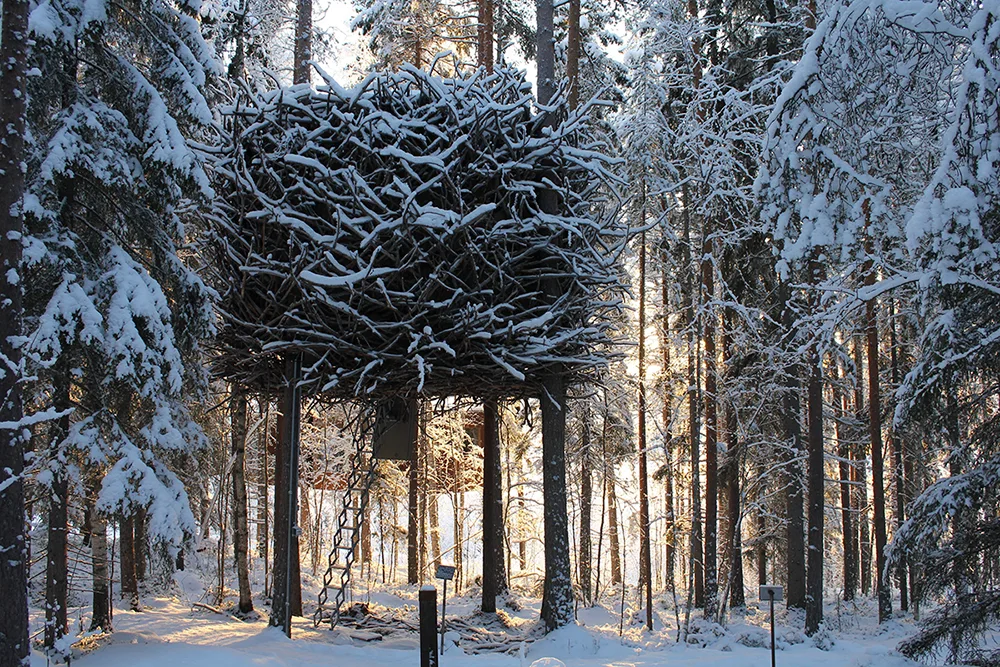 Tree-Hotel-The-Bird-Nest