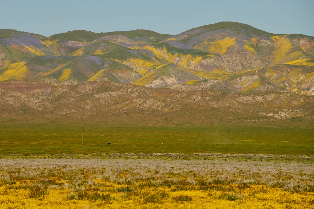 Searching for Solitude and Superblooms in California's Carrizo Plain