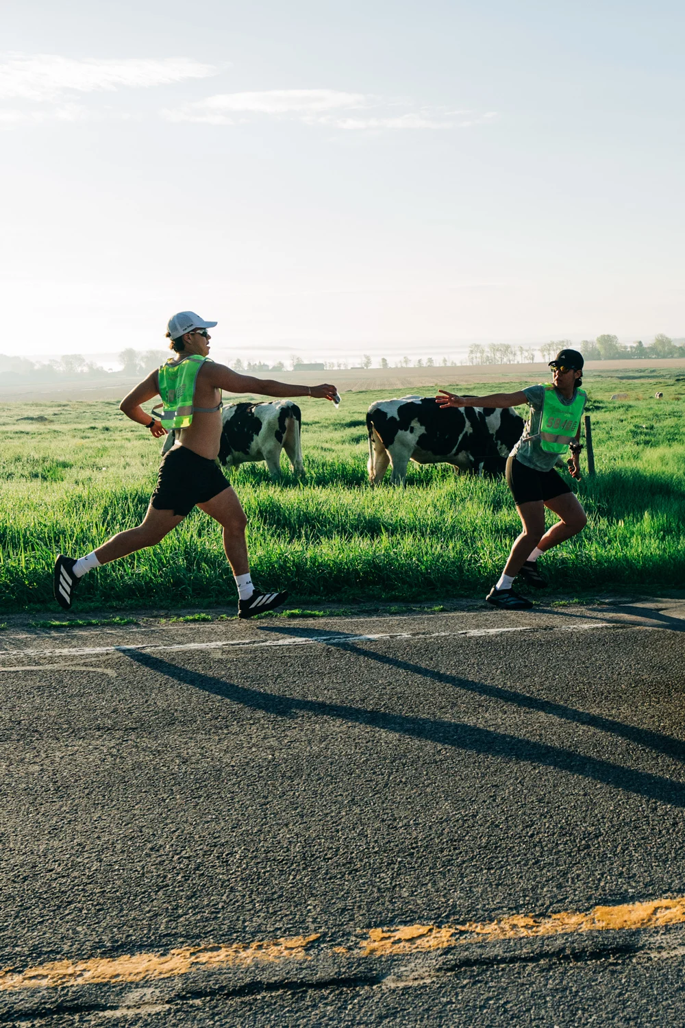 miya-hirabayashi-southbound-400-cows