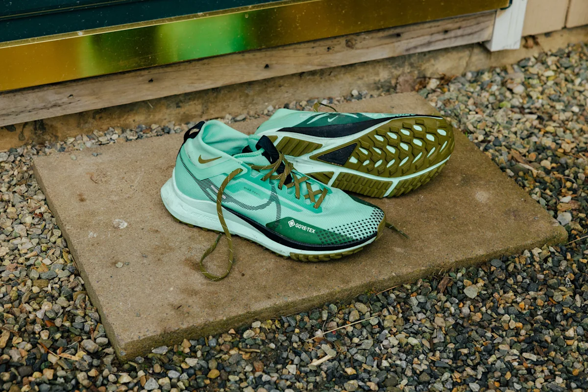 waterproof-running-shoes-nike-pegasus-4