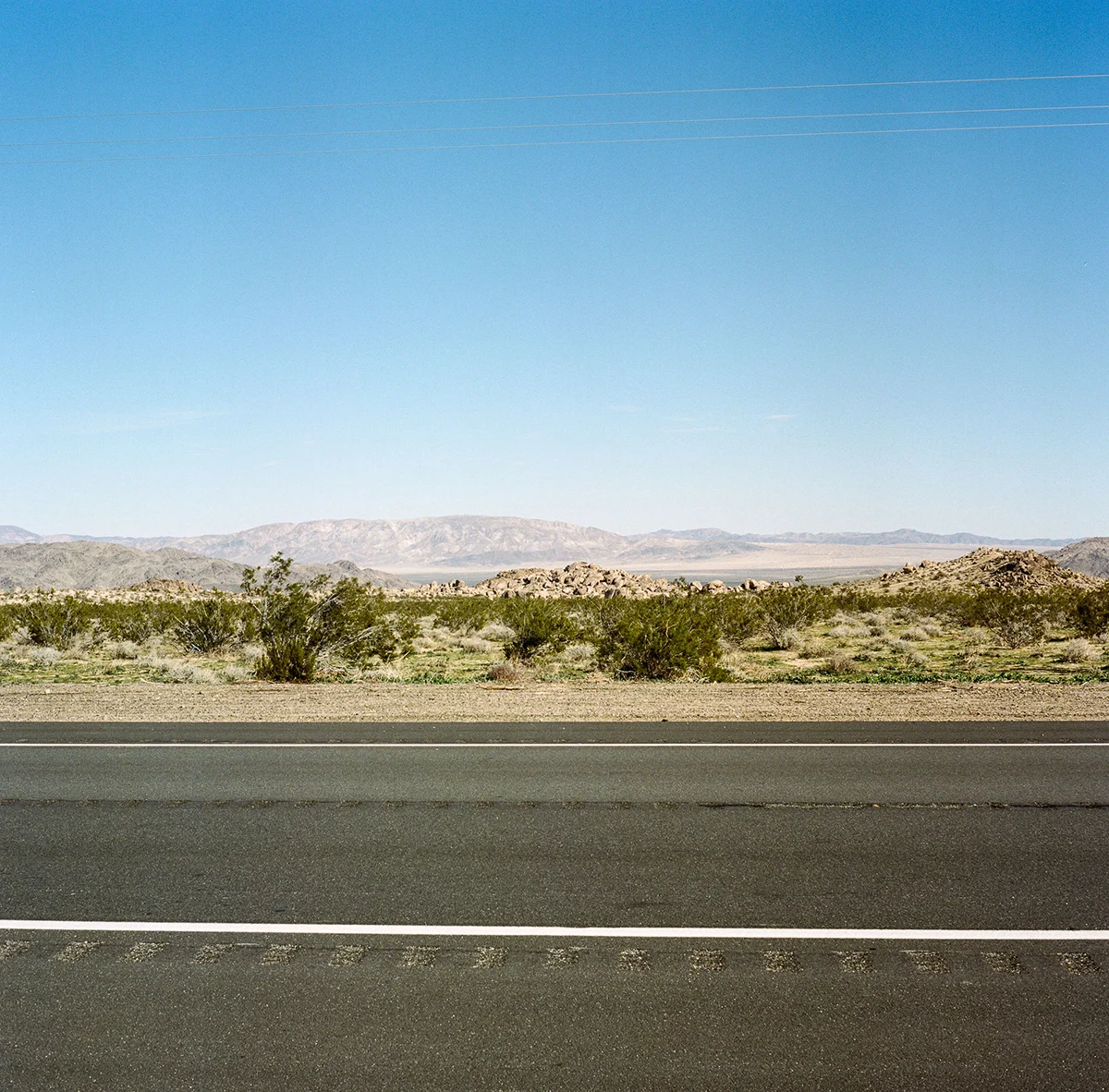 Ethan-Covey-Cali-Sq2-35mm-Fieldmag