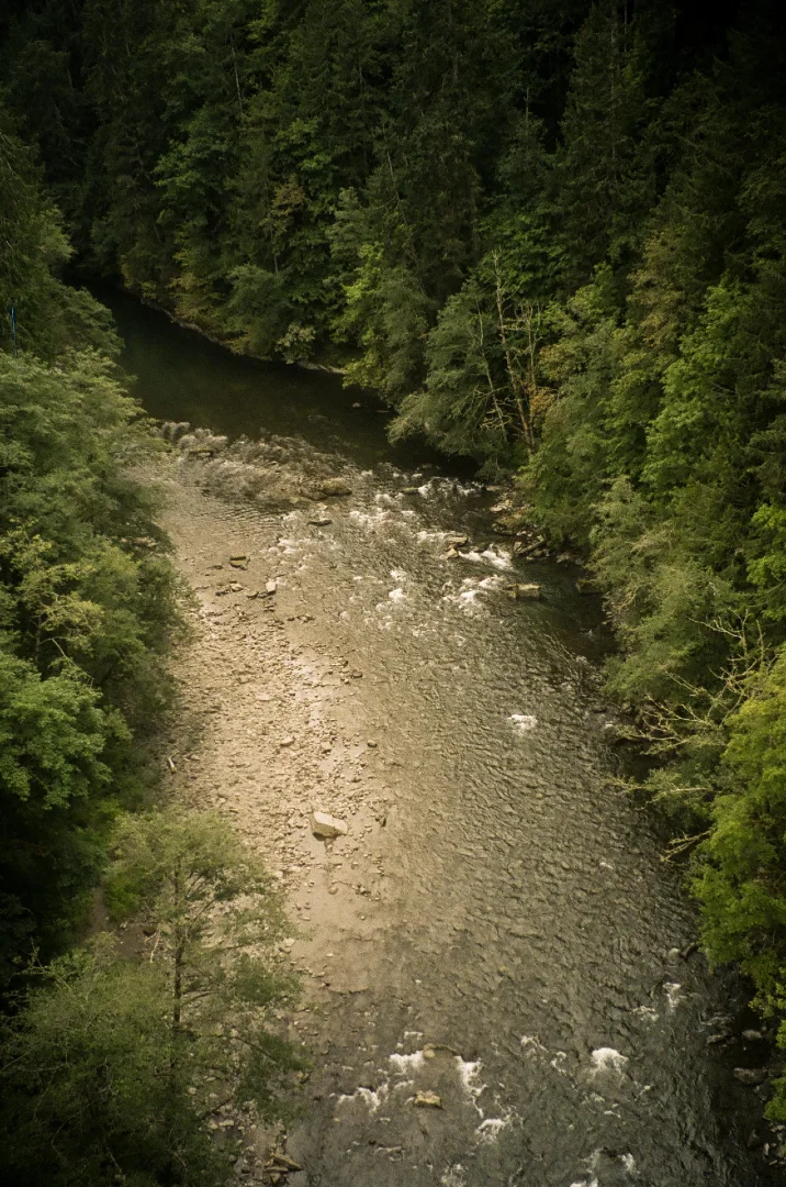 Brandon-Herrell-Bikepacking-Tips-River