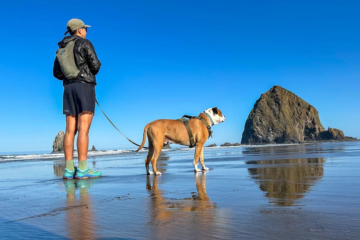 ling-oregon-parks-road-trip-haystack-rock