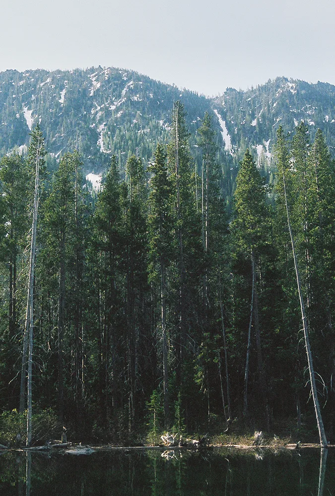 Nash-Rood-Enchantments-Fieldmag-1