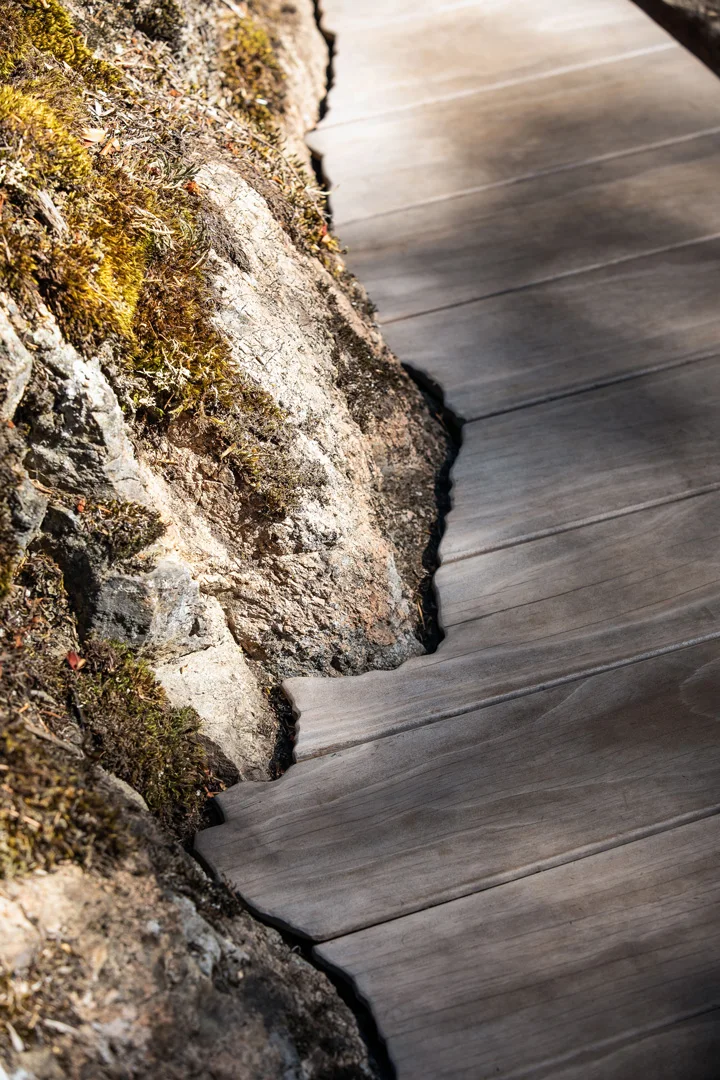 buck-mountain-cabin-orcas-island-washingon-heliotrope-walkway