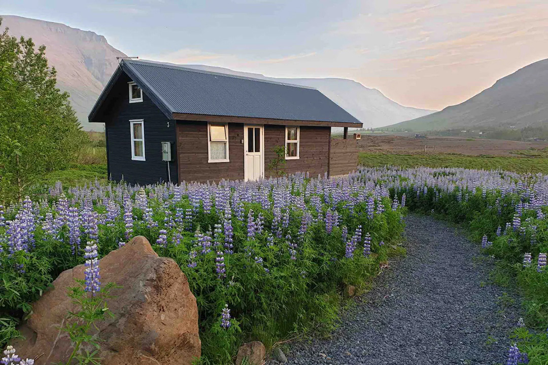 The 20 Best Iceland Airbnbs For An Epic Getaway | Field Mag