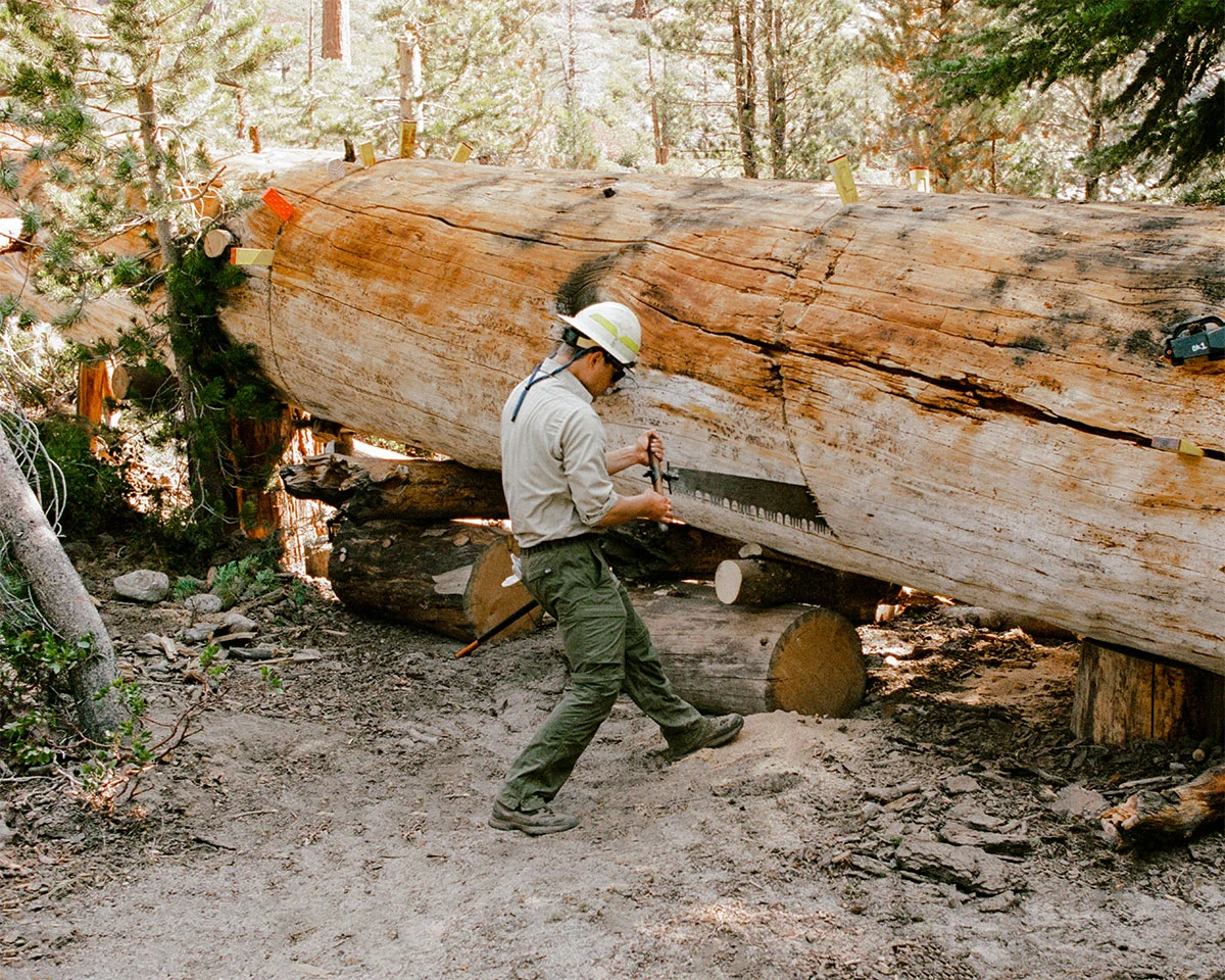 Sierra-Forest-Ranger-Bailey-Diemer-4-re-edit