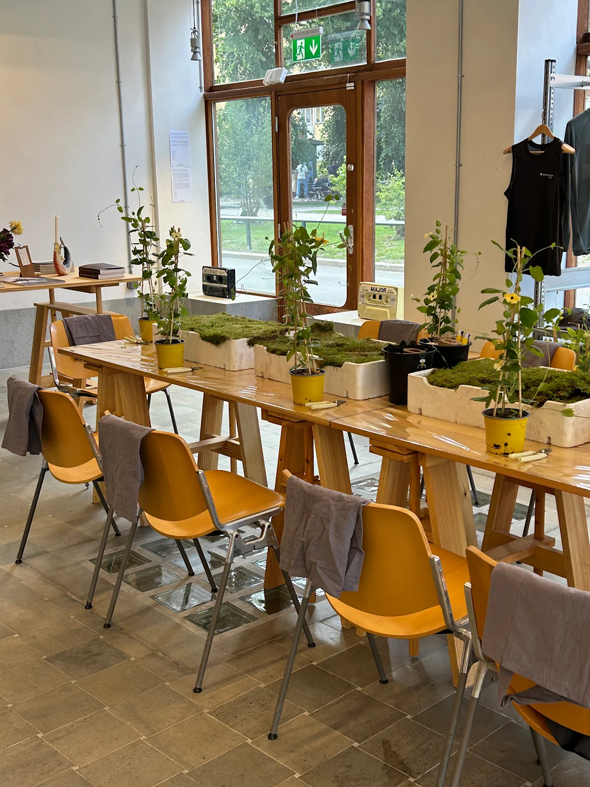 Amelia-arvesen-verkstad-plant-setting