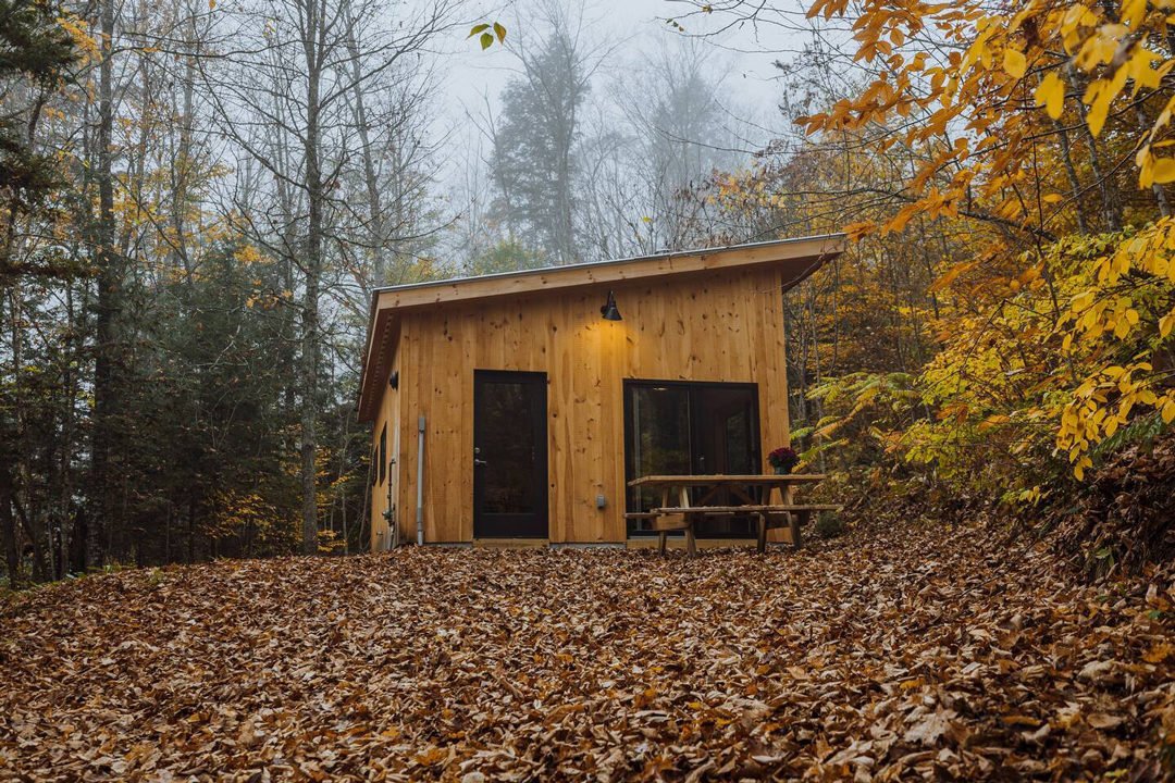 22 Best Vermont Airbnb Cabin Rentals For Nature Lovers | Field Mag