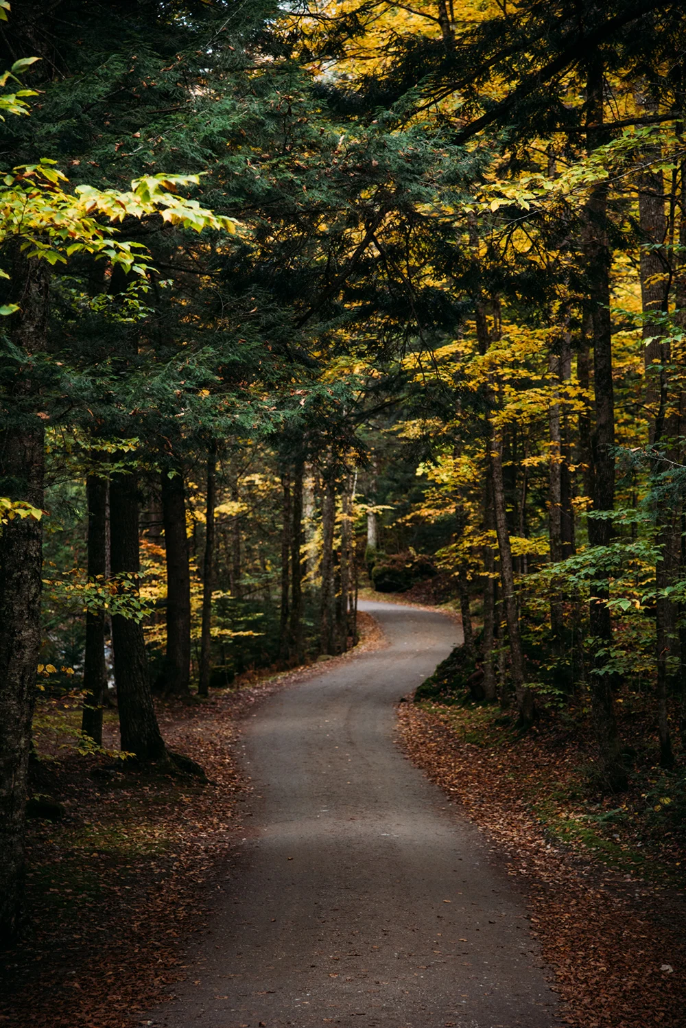 Sean-Madden-Adirondacks-18