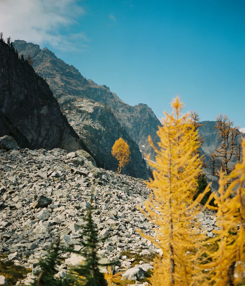 Christie-FitsPatrick-north-cascades-larches-10