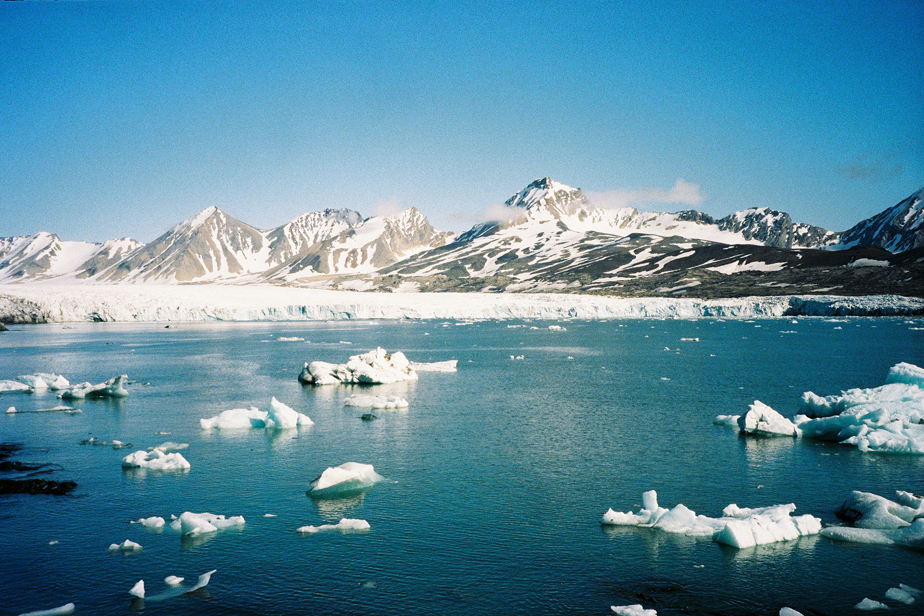 In the Icy Far North, Svalbard's Tourism Scene Is on the Rise