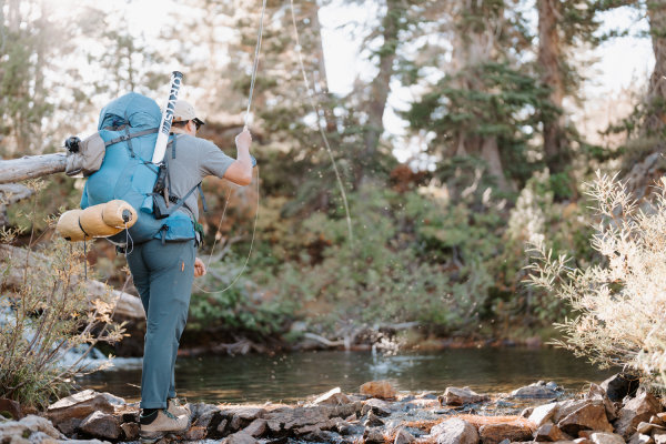 Searching for Alpine Brook Trout in California's Sierra Nevada Mountains