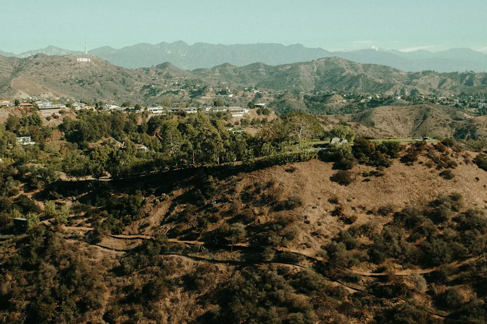 The 7 Best Hikes in Los Angeles, According to a Local