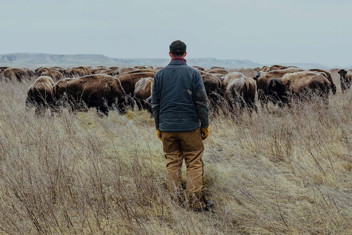 Patagonia Wild Idea Pull on Work Boot for Women Field Mag