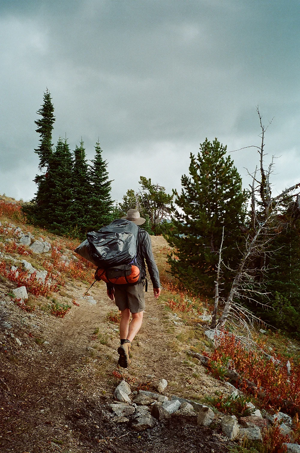 Hiemstra-Hike-2019-Elkhorns-Fieldmag-18