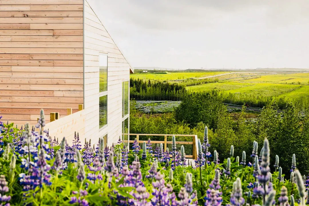northern-lights-luxury-cabin-mosfellsbar-iceland
