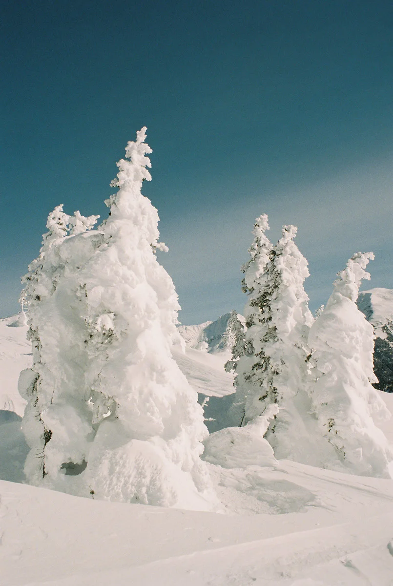 christie-fitzpatrick-shooting-film-in-snow-1