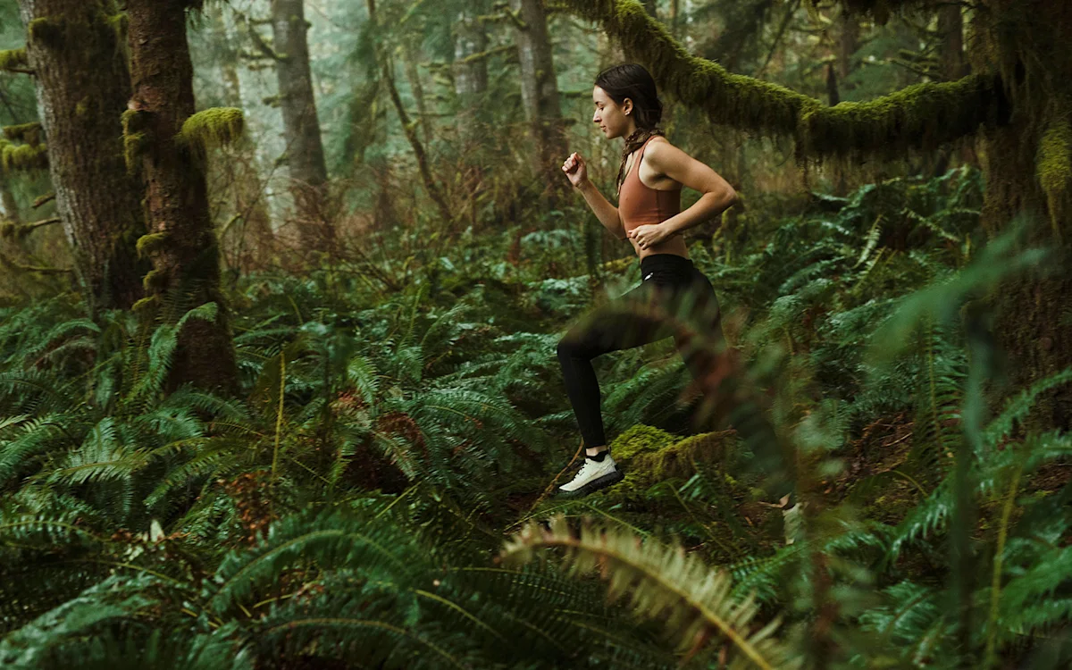 norda-trail-running-001-ferns