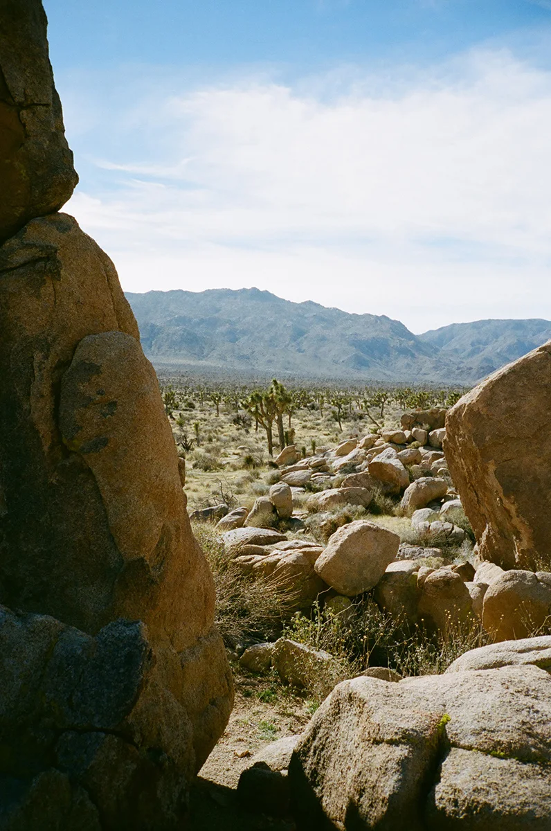 Ramon-Barcenas-Joshua-Tree-Field-Mag-16