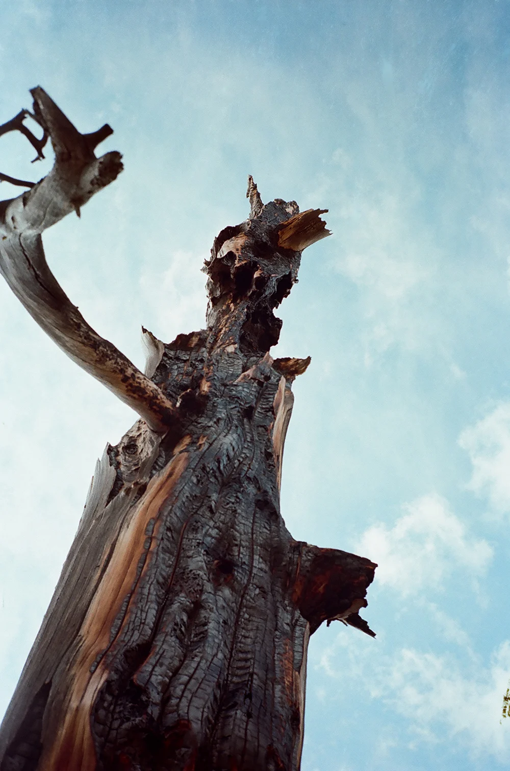Hiemstra-Hike-2019-Elkhorns-Fieldmag-17