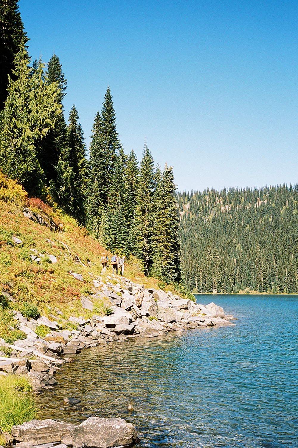Hiemstra-Hike-Rainier-17