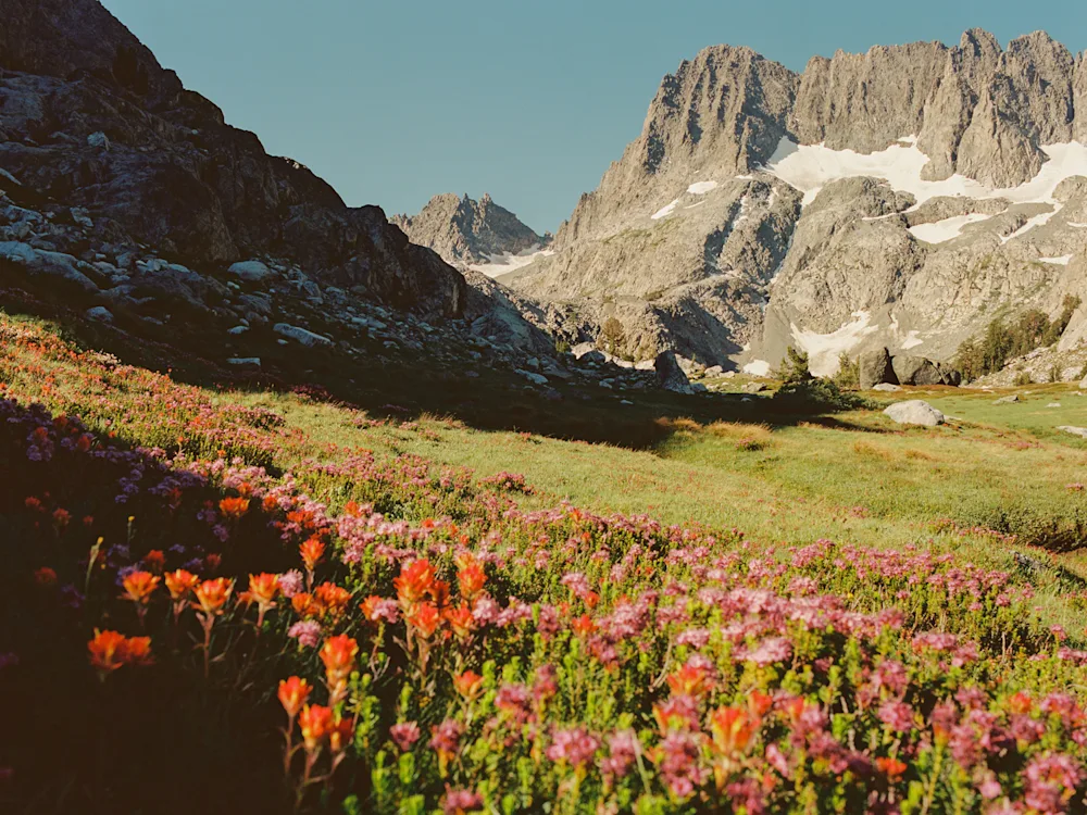 Q&A: Brian Chorski on Film Photography and New Book, "Another Patch of Sky"