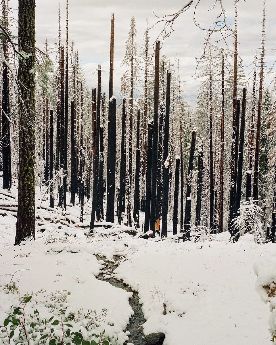Jake-Tovar-Yosemite-Valley-Photo-Essay-6