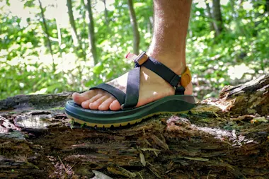 Danner Joseph-thumbnail
