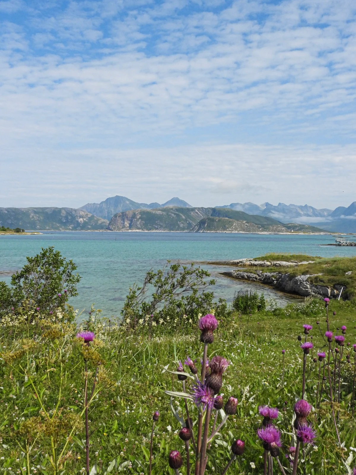 north-cape-sailing-maya-toebat-Sommarøya- holiday-paradise