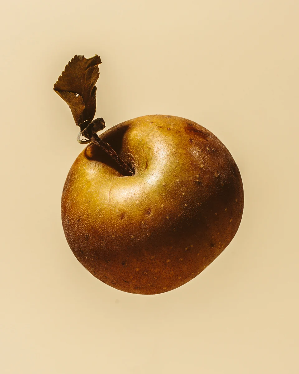 odd-apples-william-mullan-egremont-russet